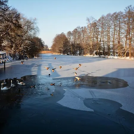 Baza Jacuzzi Вилла *