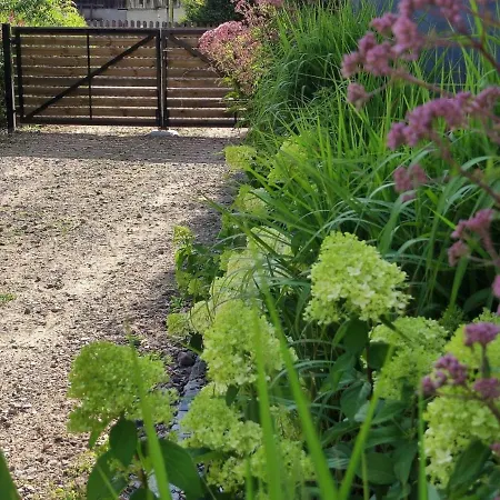 Вилла Baza Jacuzzi *