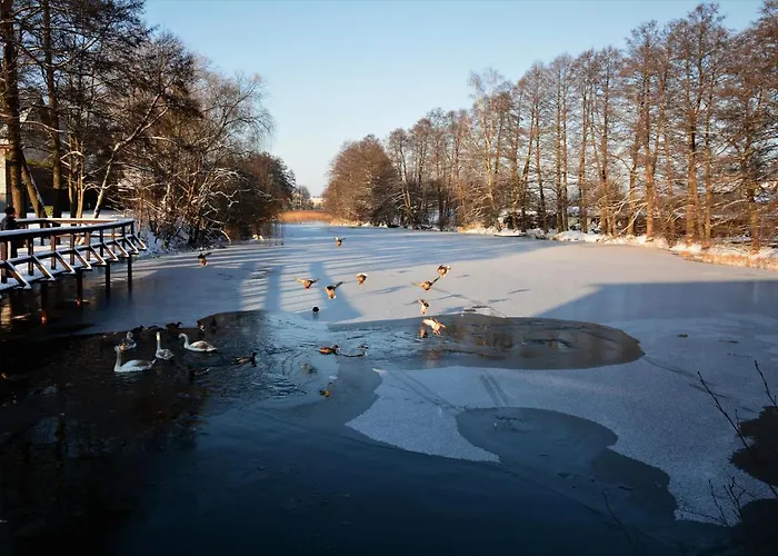 Baza Jacuzzi Villa *